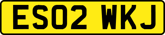 ES02WKJ