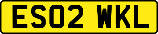 ES02WKL