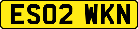 ES02WKN