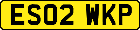 ES02WKP