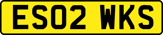 ES02WKS