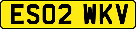 ES02WKV