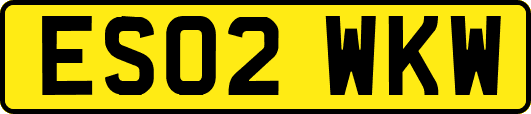 ES02WKW