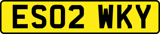 ES02WKY