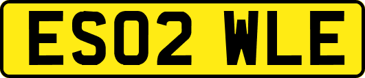 ES02WLE