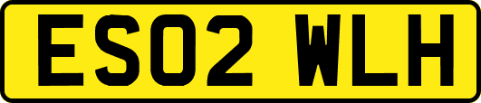 ES02WLH