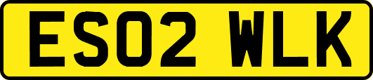 ES02WLK