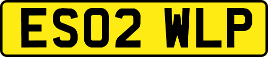 ES02WLP