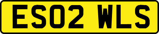ES02WLS