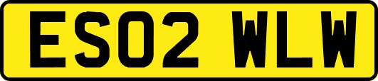 ES02WLW