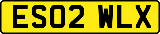 ES02WLX