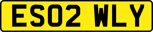 ES02WLY