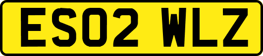 ES02WLZ