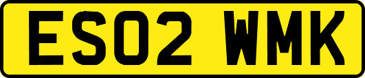 ES02WMK