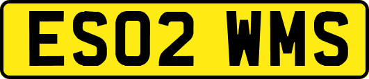 ES02WMS