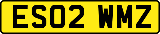 ES02WMZ