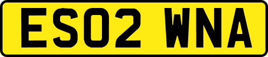 ES02WNA