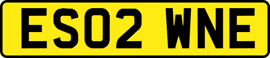 ES02WNE