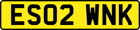ES02WNK