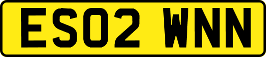 ES02WNN