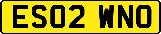 ES02WNO