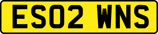 ES02WNS