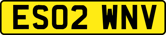 ES02WNV