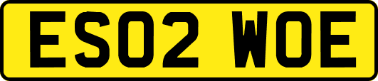 ES02WOE