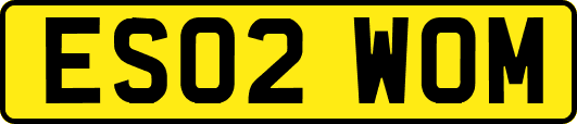 ES02WOM