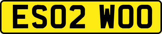 ES02WOO