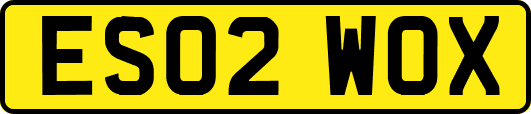 ES02WOX