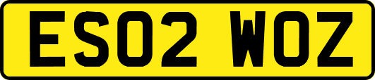 ES02WOZ