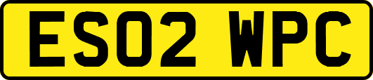 ES02WPC