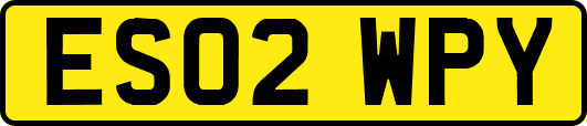 ES02WPY