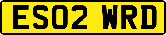 ES02WRD
