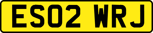 ES02WRJ