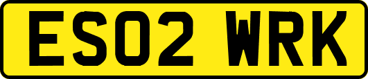 ES02WRK