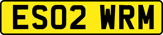 ES02WRM
