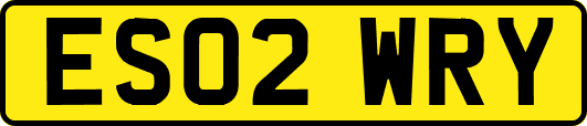 ES02WRY