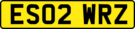 ES02WRZ