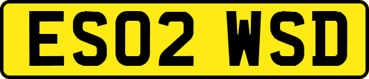 ES02WSD