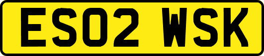 ES02WSK