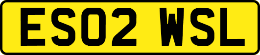 ES02WSL