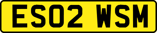 ES02WSM