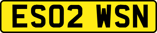 ES02WSN