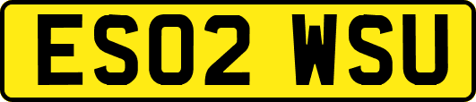 ES02WSU