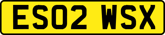 ES02WSX