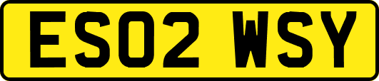 ES02WSY