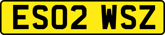 ES02WSZ
