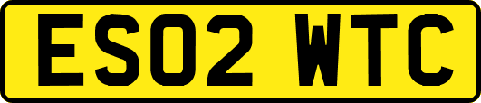 ES02WTC